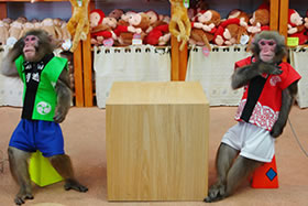 河口湖猿まわし劇場